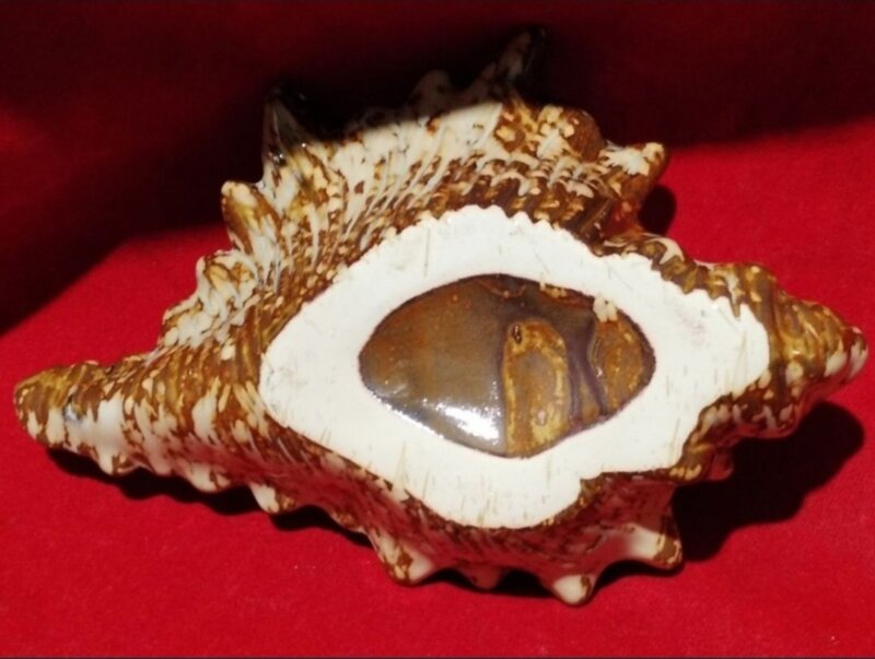 Ceramica Seashell Planter