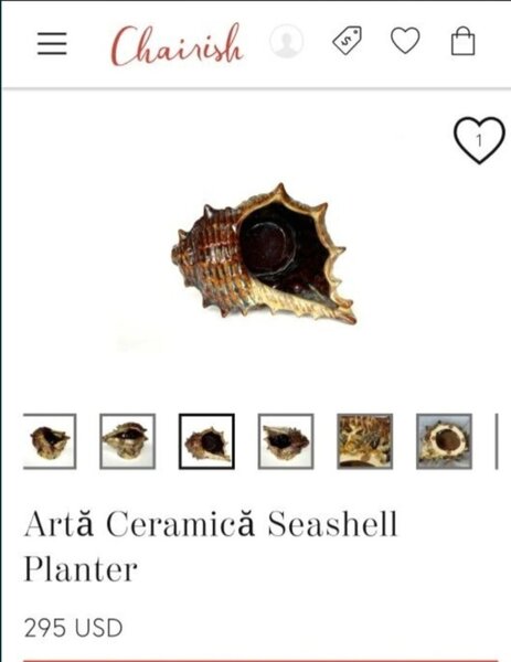 Ceramica Seashell Planter